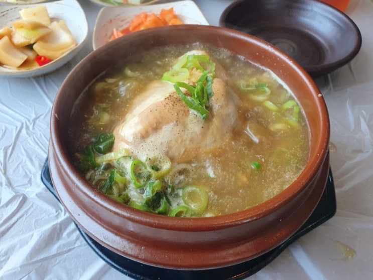  진주 월아산 등산 청곡사 / 진주 개성삼계탕 삼계탕 옻삼계탕 삼계탕 닭똥집 맛집 내돈내산 솔직후기