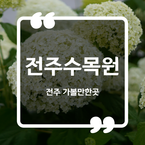  전주 가볼만한곳 - 전주수목원 여름 수국 천국 여름 여행지 추천