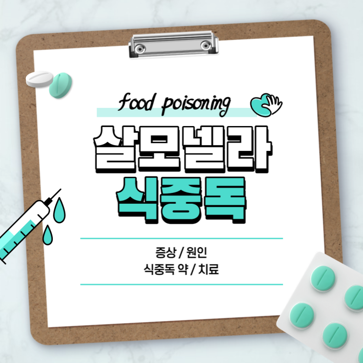 살모넬라균 : 식중독 증상 및 원인 【#식중독 #식중독약 #식중독치료】