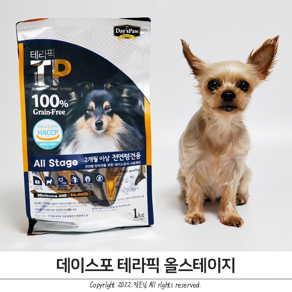 방이가 잘 먹는 데이스포 테라픽 그레인프리 사료 방이가 잘 먹는 데이스포 테라픽 그레인프리 사료