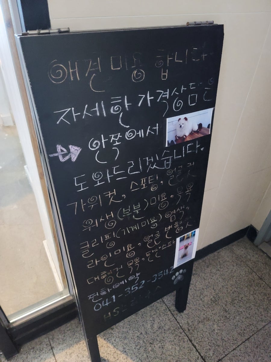 개스트하우스 사진 2
