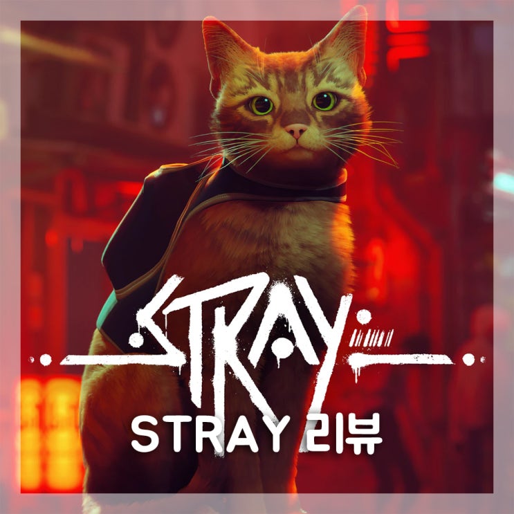 고양이에 진심인 게임 《STRAY》 플레이 후기