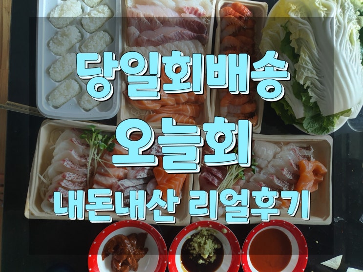  회 당일배송 "오늘회"ㅣ15만원치 내돈내산 시켜본 리얼 후기