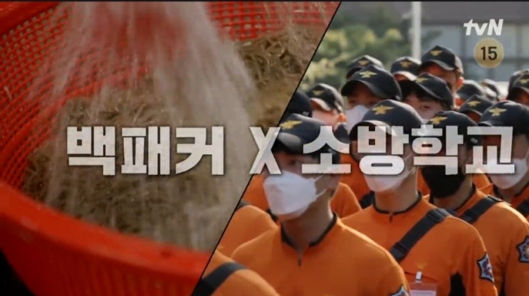  예능 정주행/백패커/tvn/백종원/안보현/딘딘/오대환