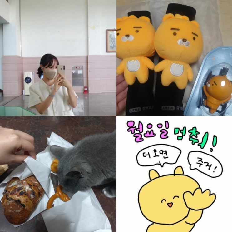  이직하고 첫월급+차도 마련한 한주 운전은 어려워... 청주 김관식빵집/동남지구육교