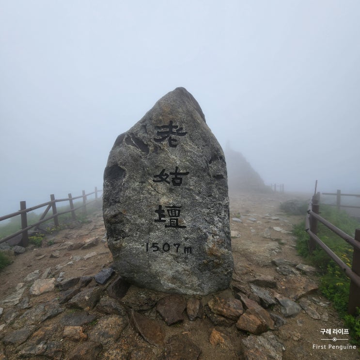  [구례 가볼 만한 곳] 구례? 지리산 노고단은 무조건 가야지 (feat. 곰탕)