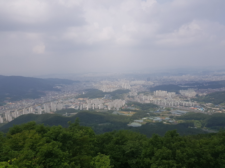 대전 식장산 전망대 & 세천공원 산책