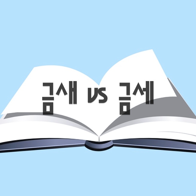  금새 vs 금세 헷갈리는 맞춤법 제대로 구분하기