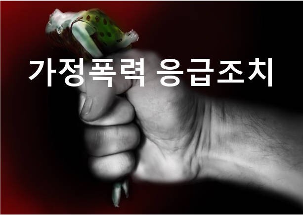  가정폭력 대응방안