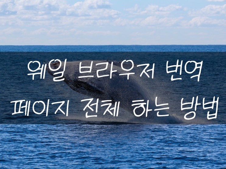  웨일 브라우저 번역 페이지 전체를 번역할 수도 있다고?