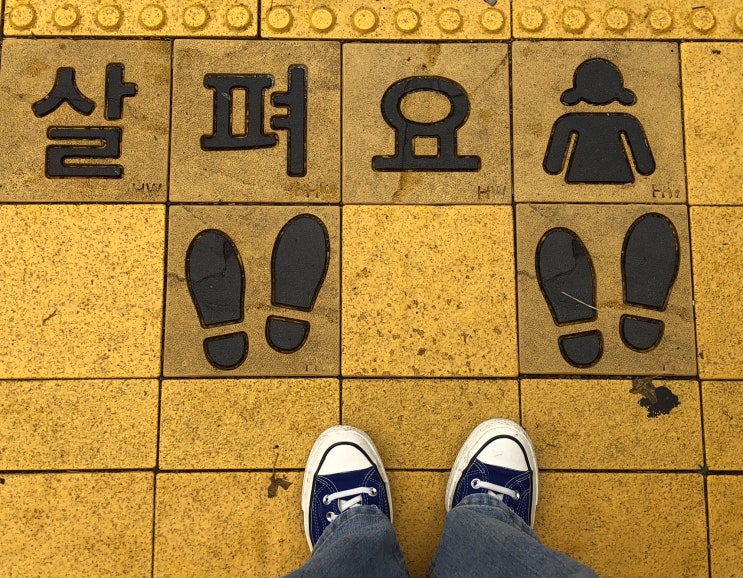 드디어 모두 생존신고 완 ‿ 드디어 모두 생존신고 완 ‿