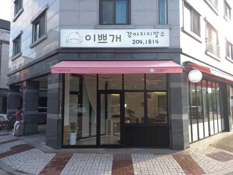 사진 8