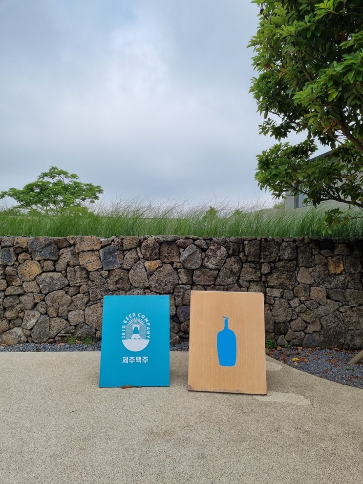  제주 블루보틀 & 제주맥주 코너샵 : 구좌읍 가볼만한 곳 (카페 메뉴, 위치 포함)