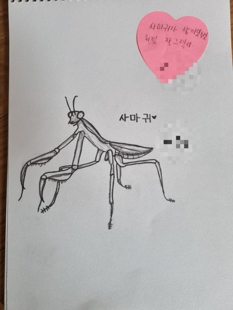  4학년 미술시간 아들이 그린그림/// 사마귀 그림 곤충그리기 나는 도치맘ㅎ