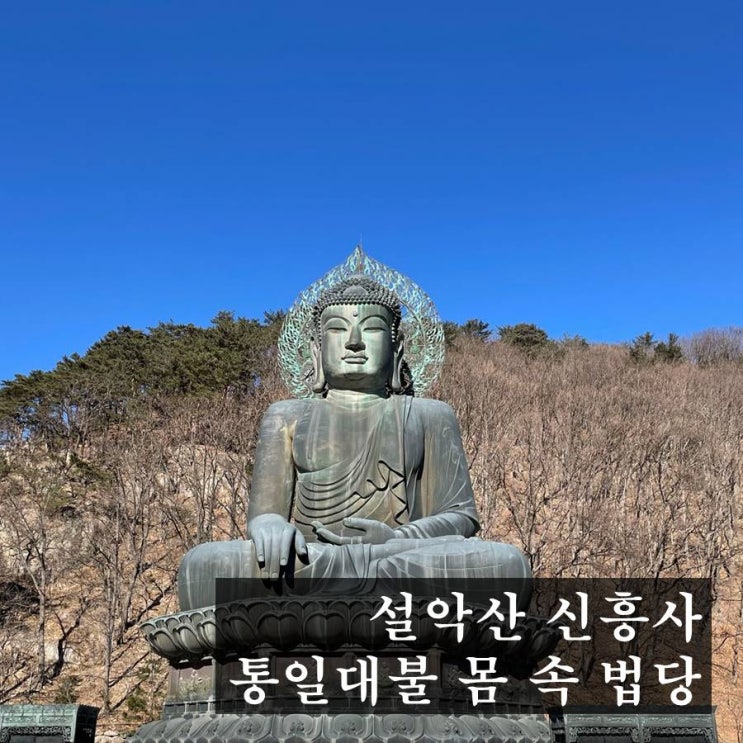  속초 설악산 신흥사 몸속 법당 - 통일대불 내원 법당, 잊지 말고 꼭 들어가 보세요!