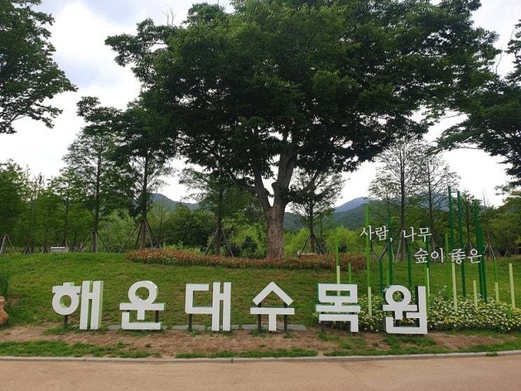  산책하기 좋은 해운대수목원