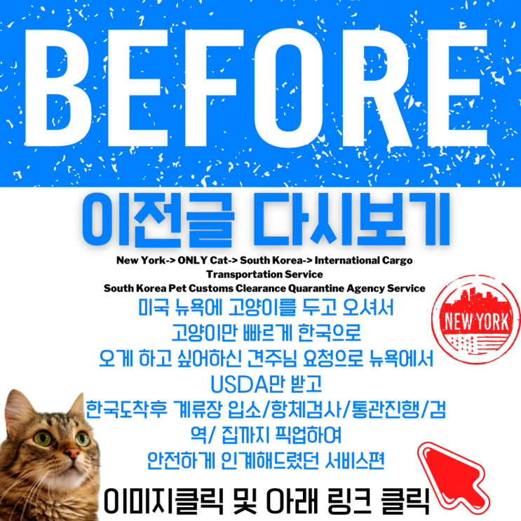  강아지 고양이 미국검역 애틀란타 -> 반려묘 카고 한국도착 통관 USDA 애완동물 출국 입국