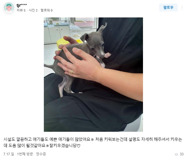  새 가족의 품으로, 행복하게 지내 천안 이탈리안그레이하운드 강아지분양