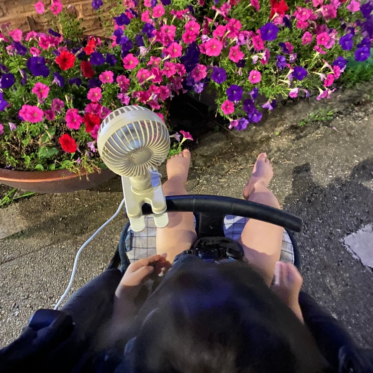 육아일기 밤산책 육아 퇴근 육아일기 밤산책 육아 퇴근