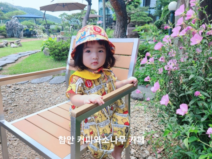  경남 함안 카페 맛집 커피와소나무