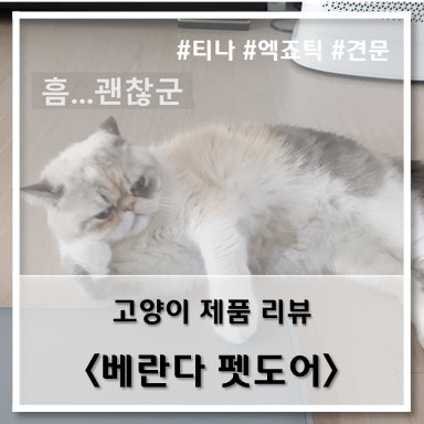  [제품 리뷰] 견문, 베란다 펫도어