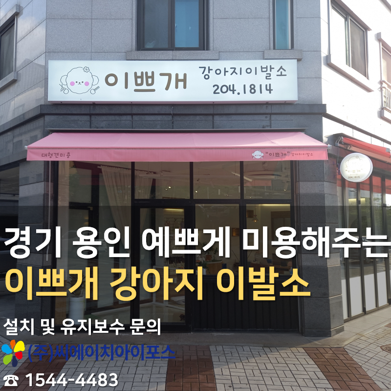 사진 7