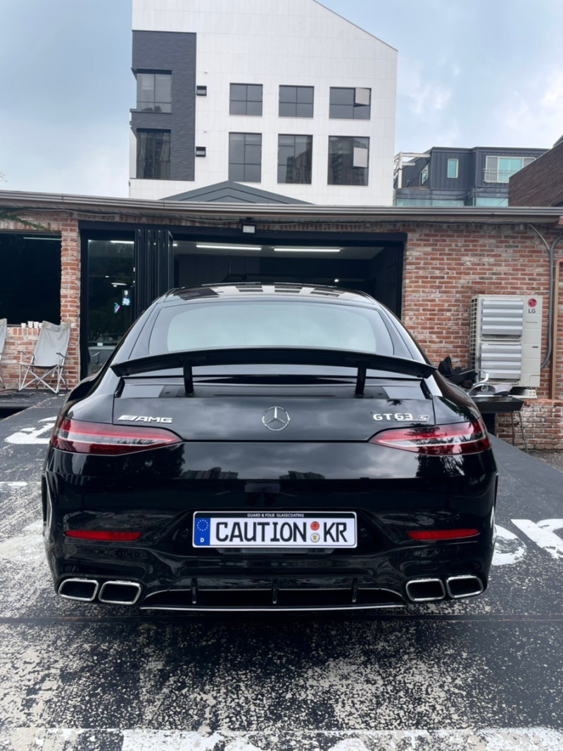 성남 판교 분당구 / PPF / AMG GT