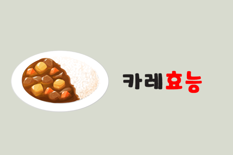  카레 효능