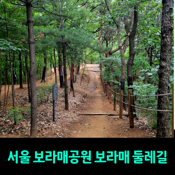 서울 보라매공원 및 보라매  둘레길 산책코스 추천