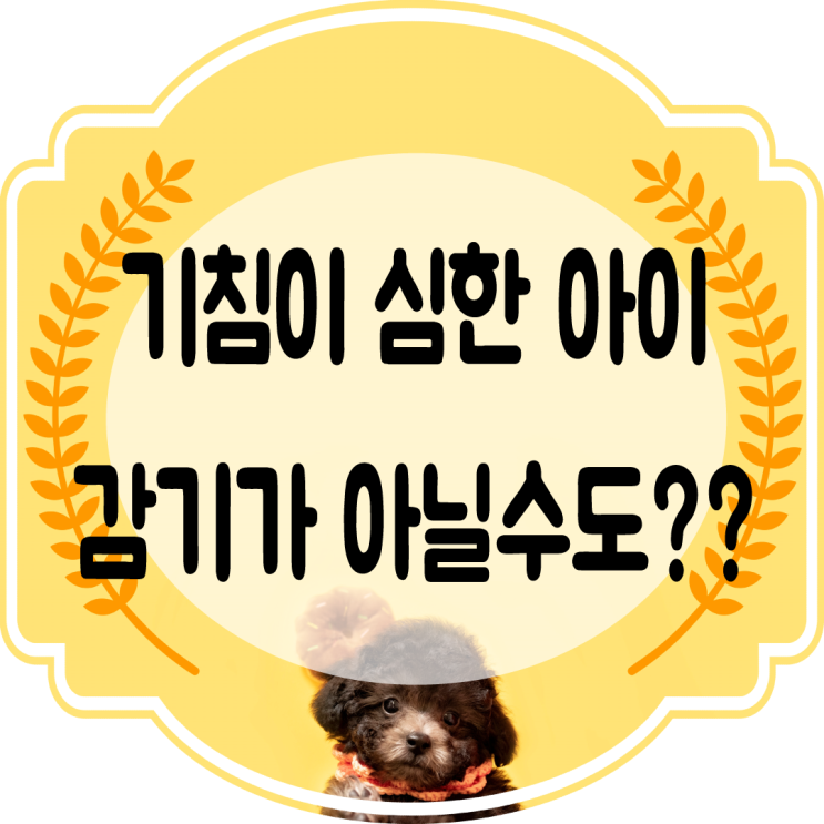  강아지기침 심하다면?? 감기아닐수도.. 소리 증상 알아보기~!!