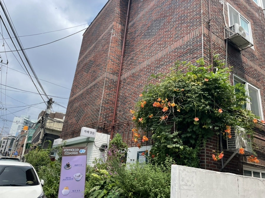 카페양순 사진 1