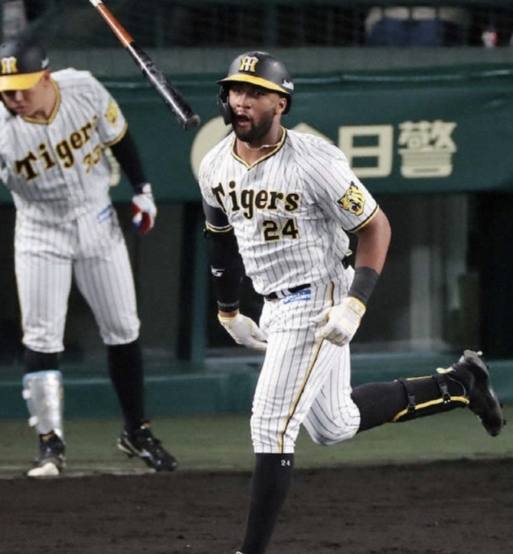 NPB 일본프로야구 센트럴리그 23일 한신 요코베이(요코하마)