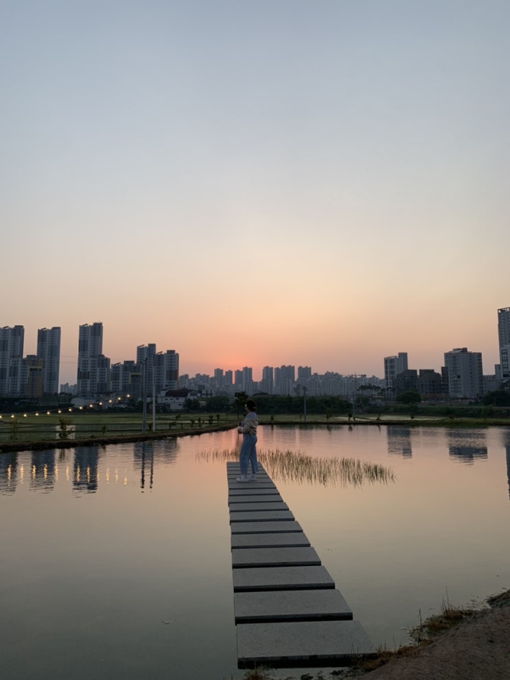  [아산/휴대리 카페] 노을지는 논뷰를 볼 수 있는 곳, 페이드 인