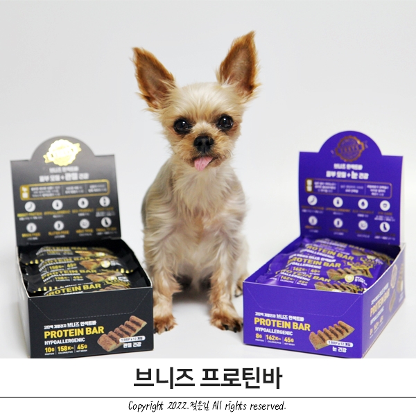 강아지 곤충단백질간식 브니즈 방이에게 급여! 강아지 곤충단백질간식 브니즈 방이에게 급여!