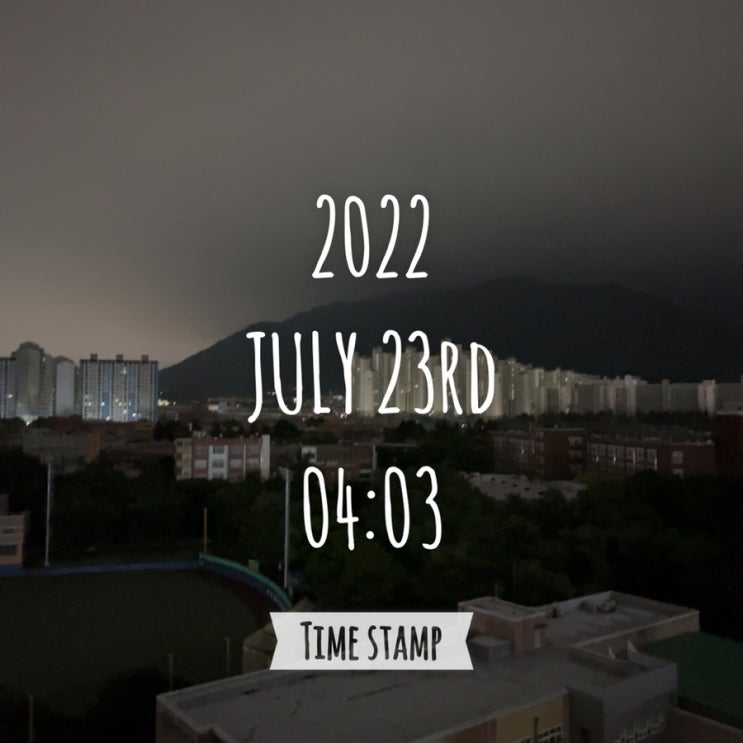  운동 #48일