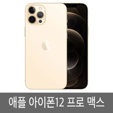  [이폰12promax자급제