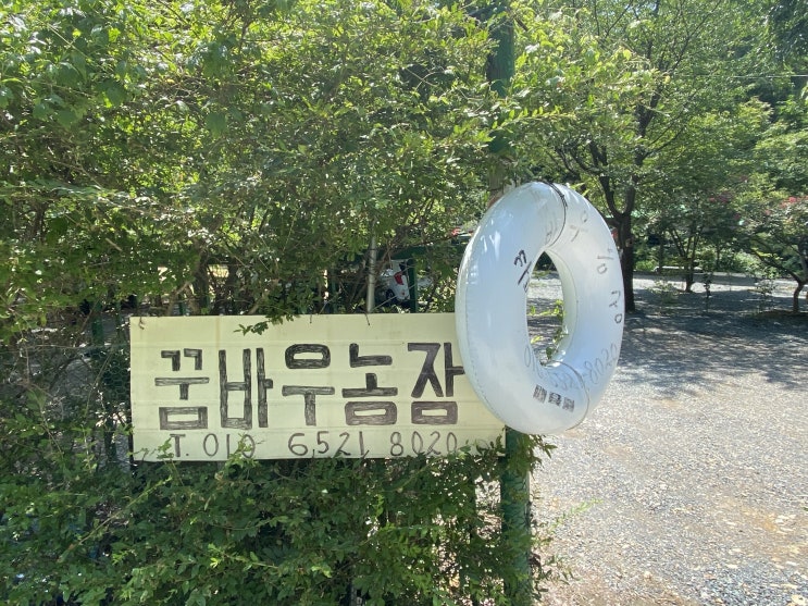  대구 근교 숨은 계곡, 가창 꿈바우농장 자연체험장
