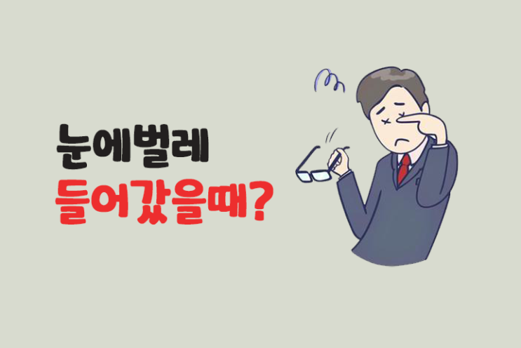  눈에 벌레 응급처치
