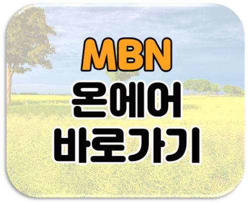 MBN 온에어 실시간 예능 드라마 재방송 다시보기 편성표