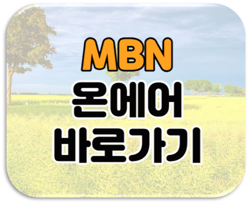  MBN 온에어 실시간 예능 드라마 재방송 다시보기 편성표