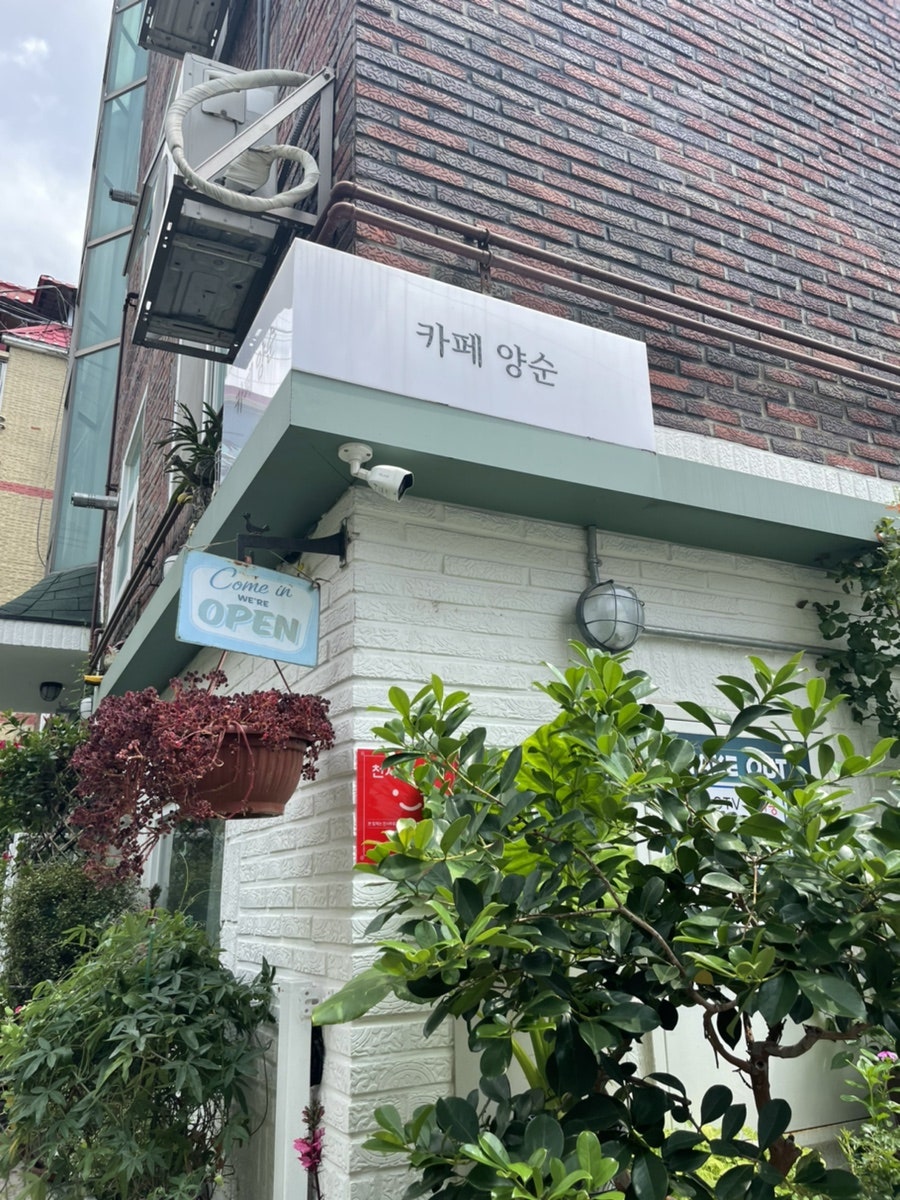 카페양순 사진 3