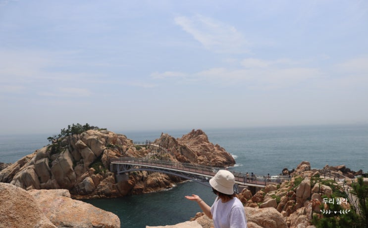  울산 대왕암 - 사계절길 나무와 바다 힐링 #2
