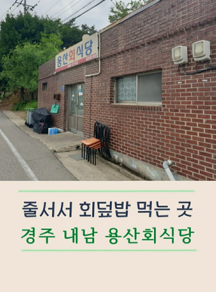 경주 용산회식당 회덮밥 한 그릇의 행복