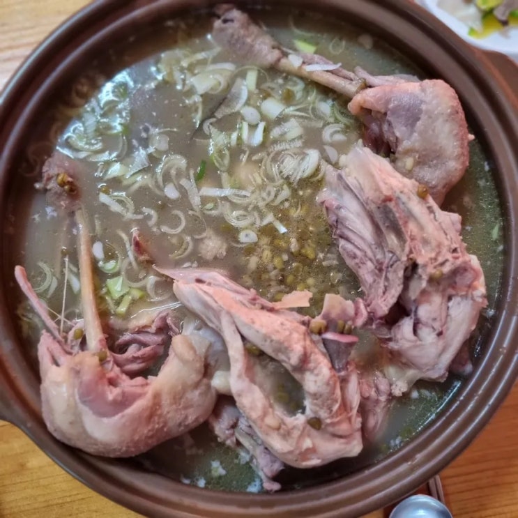 [내돈내산]낙지 들어간 닭 해신탕 또랑낙지한마당