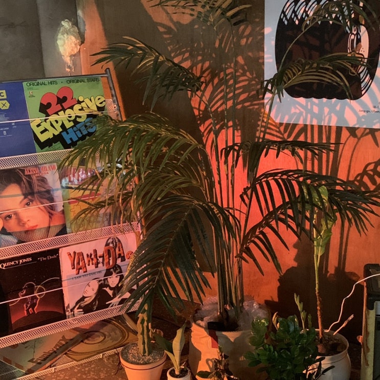  울산 태화강 근처 버디 포켓몬빵 판매하는 카페