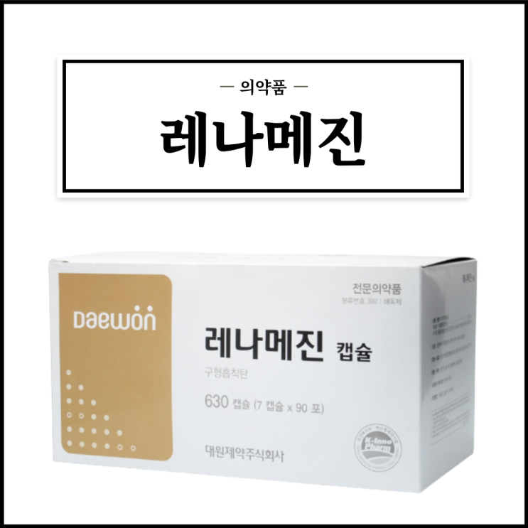  레나메진, 효능효과/복용법/부작용/주의사항 등 간단정리