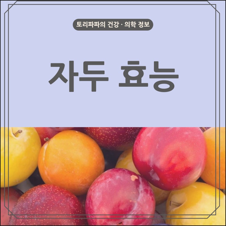 자두 5가지 효능과 부작용