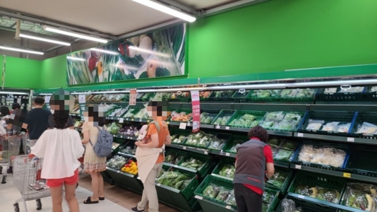  대형마트 야채,채소 종류 및 가격