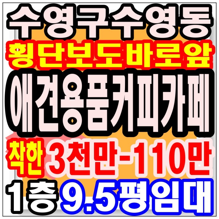  <수영구 수영동 애견용품 상가 임대> 대로변 신호등 횡단보도 앞 / 1층 9.5평 / 커피 카페 하면 좋을까요? / 좋은 기회, 돈 버는 방법, 부산 부동산