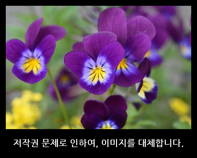 에몬스 킹K 휴레스트 투매트리스 침대, 색상아이보리 (f507a829-2f81)
